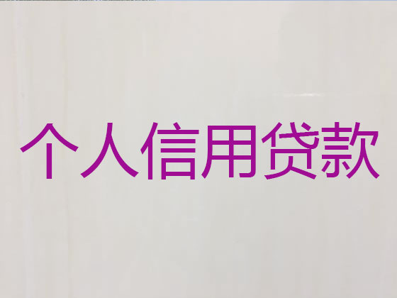 双鸭山贷款公司-信用贷款